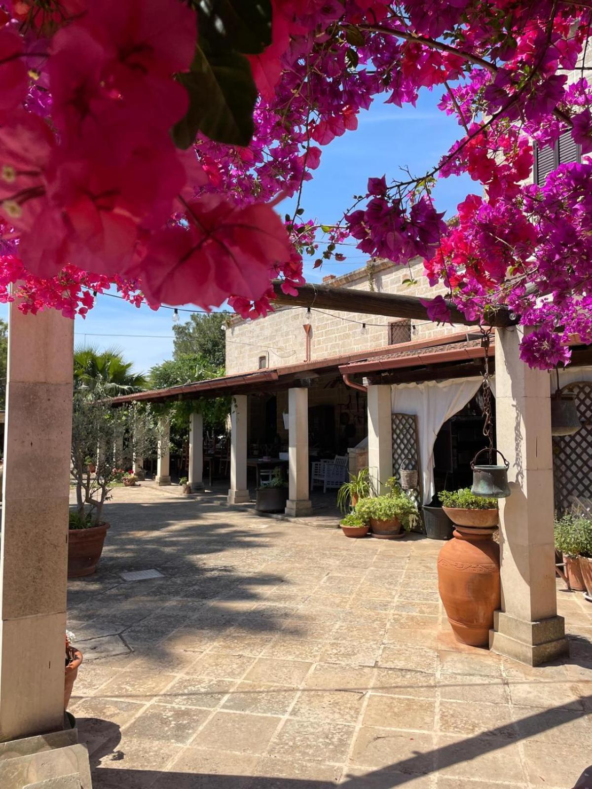 Masseria Scianne ซันตีซิโดโร ภายนอก รูปภาพ